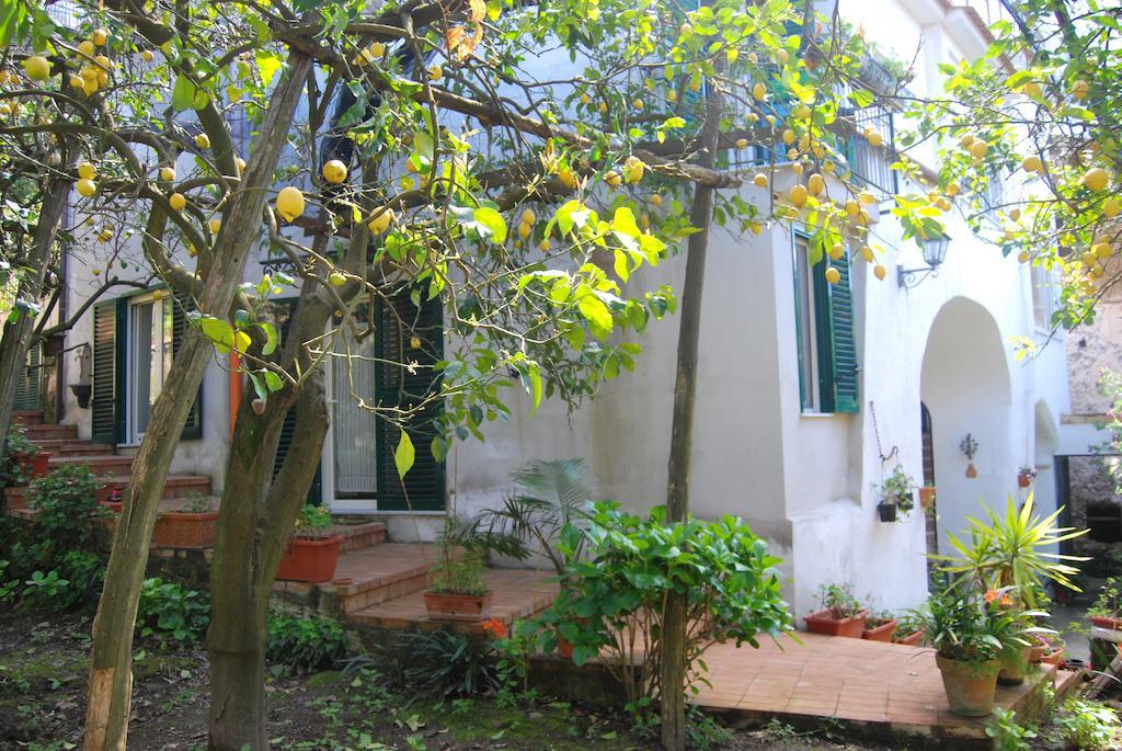 Sorrento Studios Lemons Hill 部屋 写真