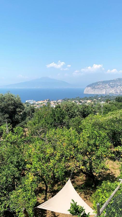 Sorrento Studios Lemons Hill エクステリア 写真