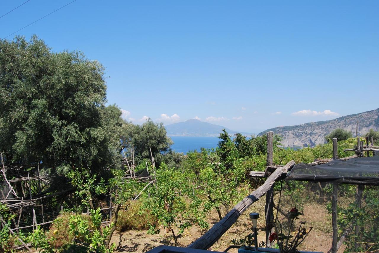 Sorrento Studios Lemons Hill エクステリア 写真